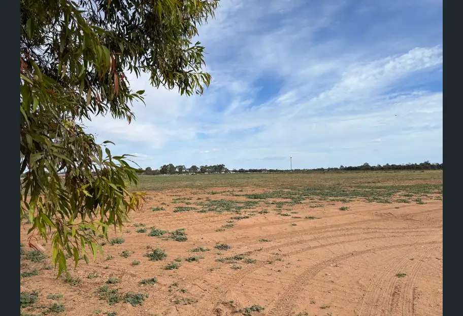 163 Channel Road, Curlwaa NSW – photo 19