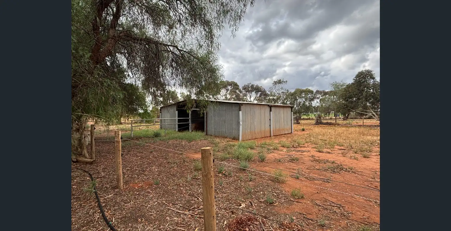 34 Oleander Drive, Coomealla NSW – photo 5