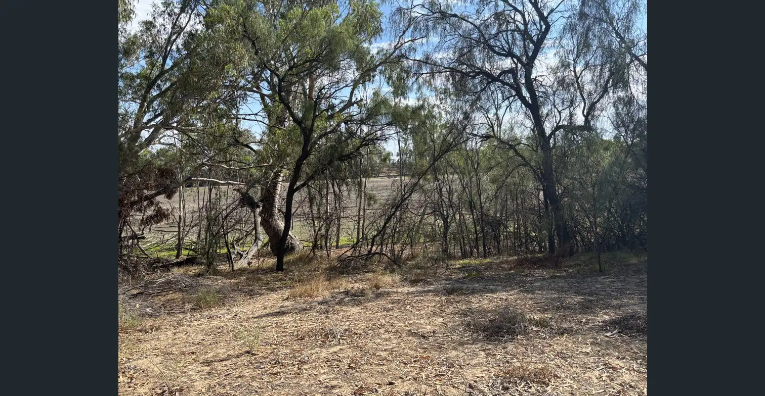 119B Lagoon Road, Wentworth NSW – photo 14